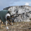Hurtta Extreme warmer V2 ECO (Wärmejacke) grün Abbildung 2