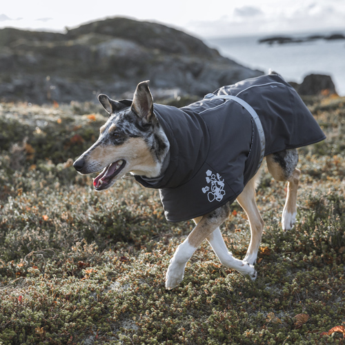 weitere Abbildung Hurtta Extreme warmer V2 (Wrmejacke) dunkelgrau