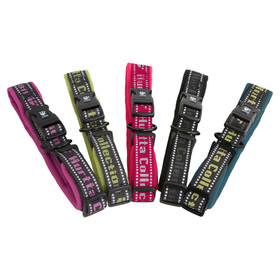 Abbildung Hurtta Halsband birke