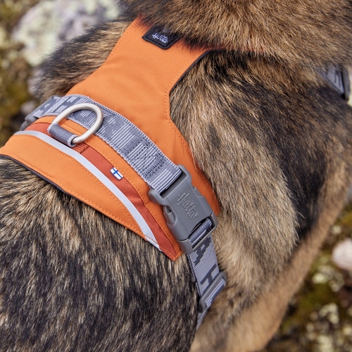 weitere Abbildung Hurtta Hundegeschirr Rover Harness cinnamon