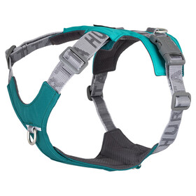 Abbildung Hurtta Hundegeschirr Rover Harness peacock