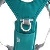 Hurtta Hundegeschirr Rover Harness peacock Abbildung 3