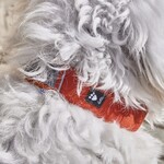 Hundehalsband Rover Collar cinnamon, Abbildung 3