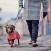 Hurtta Hundemantel Expedition Parka II strawberry (rot) Abbildung 2
