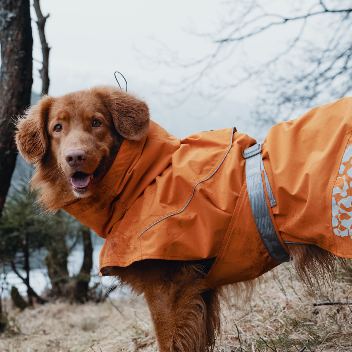 Hurtta Monsoon Regenmantel für Hunde Wasserdichter Schutz in Orange