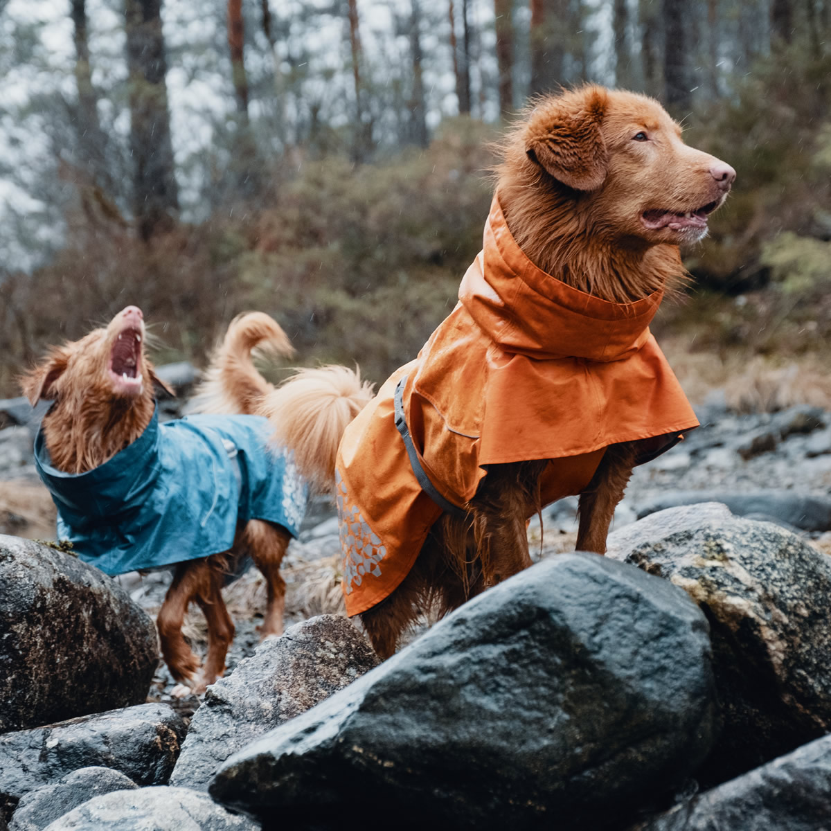 Hurtta Monsoon Regenmantel für Hunde Wasserdichter Schutz in Orange