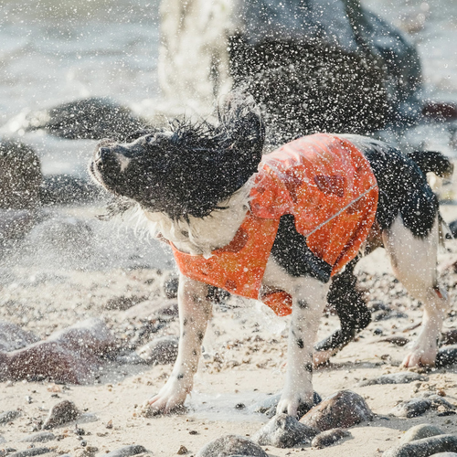 weitere Abbildung Hurtta Ranger Weste orange camouflage
