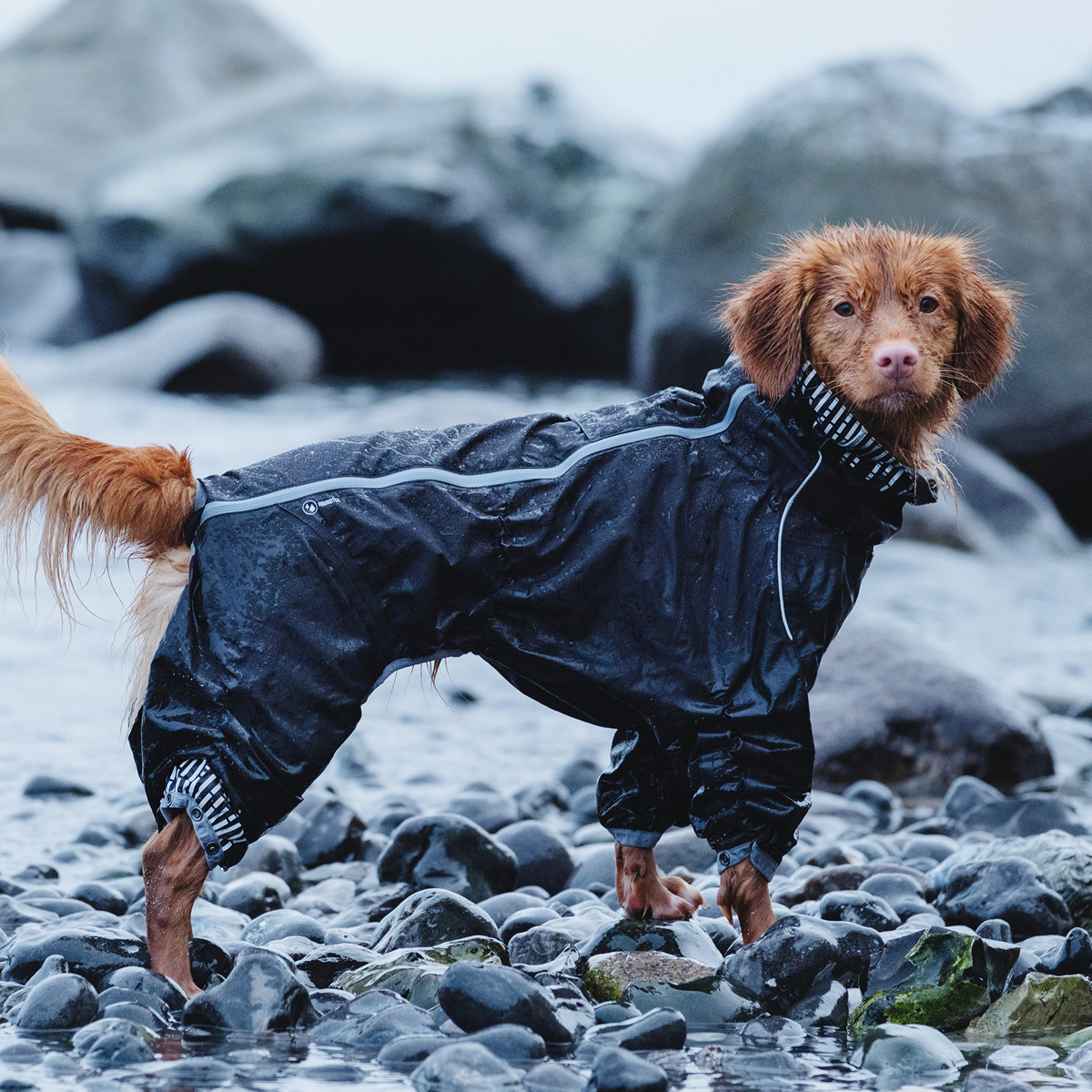 Hurtta Drizzle Regenjacke Fr Hunde - Wasserdichter Hundemantel Mit  Reflektoren, Schwarz 80 Cm - Optimaler Regenschutz