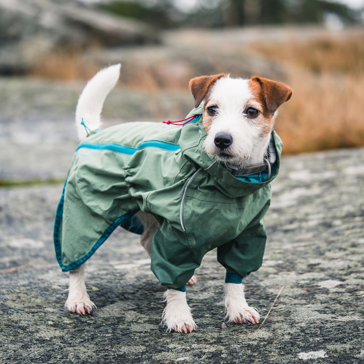 Hurtta Regenmantel Rain Blocker ECO hellgrün