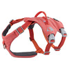 Hurtta Safeguard Geschirr ECO strawberry (rot) Abbildung 1