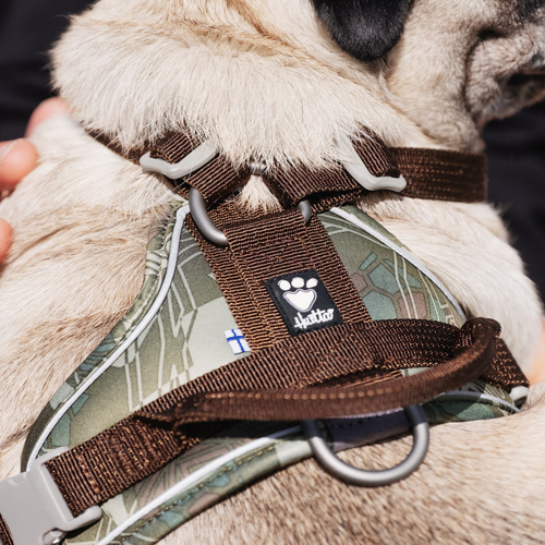 weitere Abbildung Hurtta Weekend Warrior Geschirr grn-camo