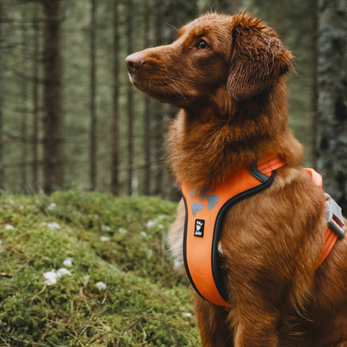 weitere Abbildung Hurtta Weekend Warrior Geschirr neonorange