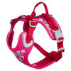 Hurtta Weekend Warrior Geschirr ruby/kirsche Abbildung 1
