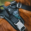 Hurtta Weekend Warrior Geschirr schwarz Abbildung 4