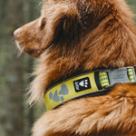 Weekend Warrior Halsband neongelb, Abbildung 4