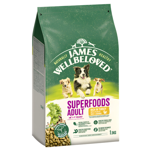 JAMES WELLBELOVED Adult Superfoods Truthahn + Grünkohl 1,5 kg