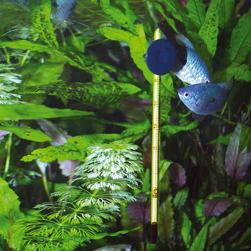 weitere Abbildung JBL Aquarien-Thermometer Premium
