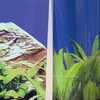 JBL Fixol 50 ml Abbildung 2