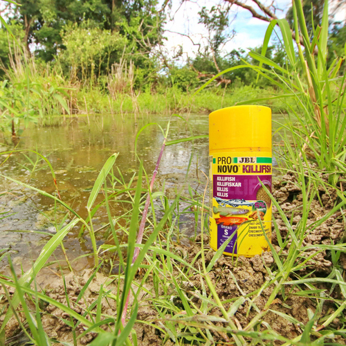 weitere Abbildung JBL PRONOVO KILLIFISH GRANO