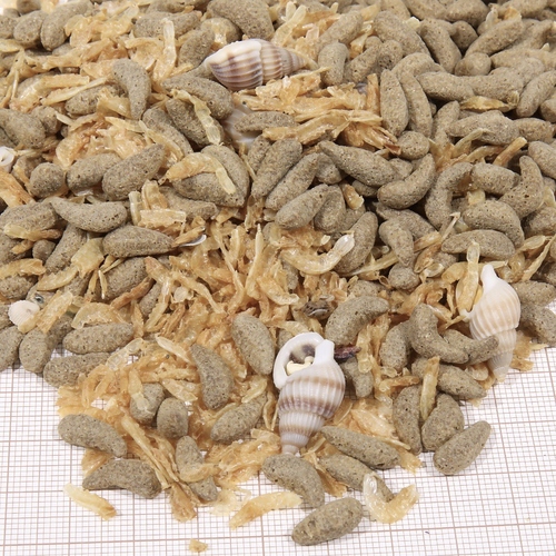weitere Abbildung JBL ProTerra Molluscus