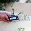 JBL TerraSand natur-weiß 7,5 kg Abbildung 4