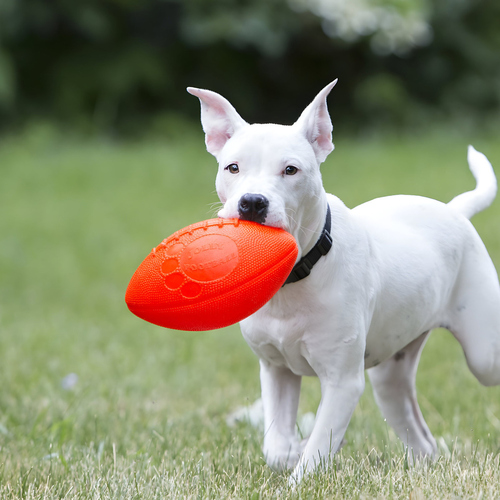 weitere Abbildung Jolly Hundespielzeug Football Vanille