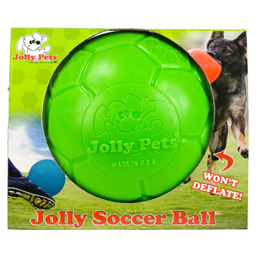 weitere Abbildung Jolly Hundespielzeug Fuball grn