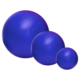Abbildung Jolly Hundespielzeug Push-n-Play blau