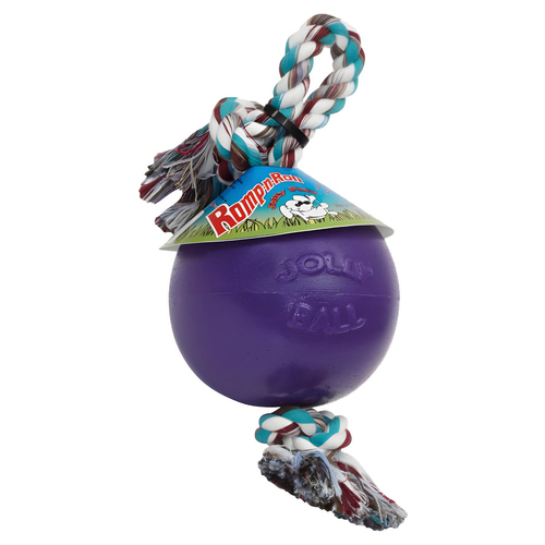 Jolly Hundespielzeug Romp-n-Roll violett, Größe: M