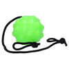 Jolly Hundespielzeug Tree Tugger Abbildung 2
