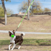Jolly Hundespielzeug Tree Tugger Abbildung 5