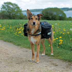 Abbildung Julius-K9 2 Packtaschen schwarz