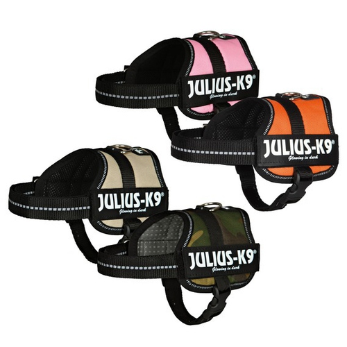 JuliusK9 Powergeschirr orange