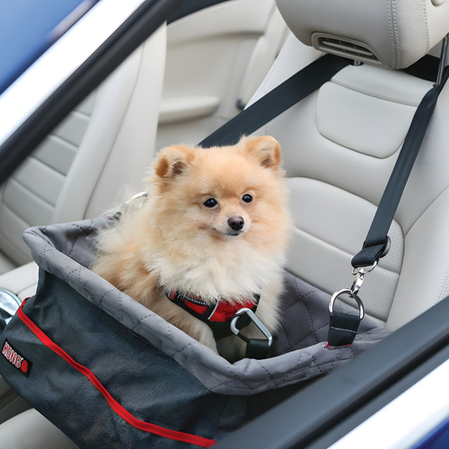 weitere Abbildung KONG Autositz Secure Booster Seat