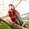 KONG Classic Small Animal Kauspielzeug Abbildung 3