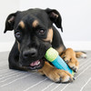 KONG CoreStrength Bone Abbildung 3