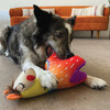 KONG Hundespielzeug Ballistic Vibez Llamas Abbildung 2