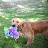 KONG Hundespielzeug Frizzles Rrazzle Abbildung 3