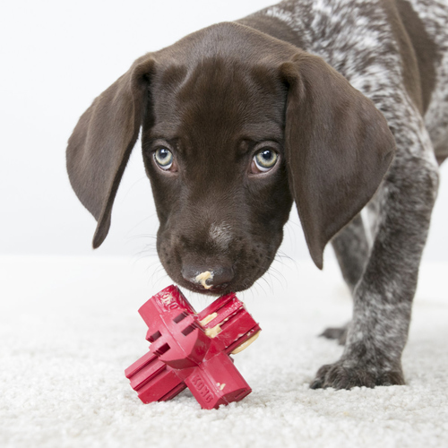 weitere Abbildung KONG Hundespielzeug Jump'N Jack rot