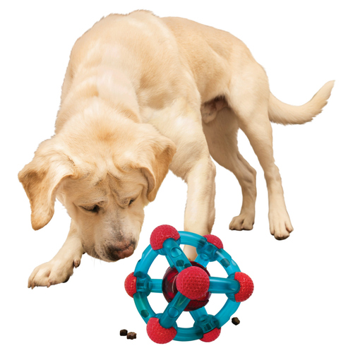 weitere Abbildung KONG Hundespielzeug Rewards Tinker
