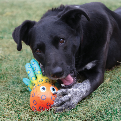 weitere Abbildung KONG Hundespielzeug Shields Tropics Tintenfisch