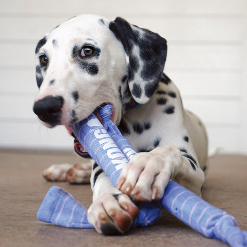 weitere Abbildung KONG Hundespielzeug Signature Crunch Rope Puppy violett