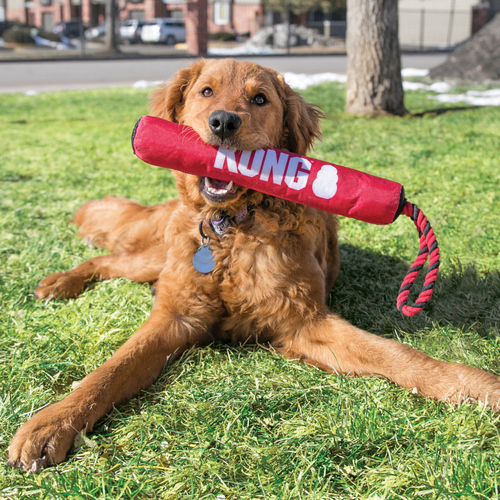 weitere Abbildung KONG Hundespielzeug Signature Stick mit Seil