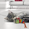 KONG Katzenspielzeug Bat-A-Bout Clackz Caterpillar Abbildung 3