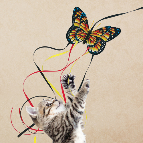 weitere Abbildung KONG Katzenspielzeug Teaser Butterfly