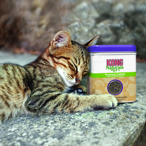 weitere Abbildung KONG Premium Catnip Naturals 28 g