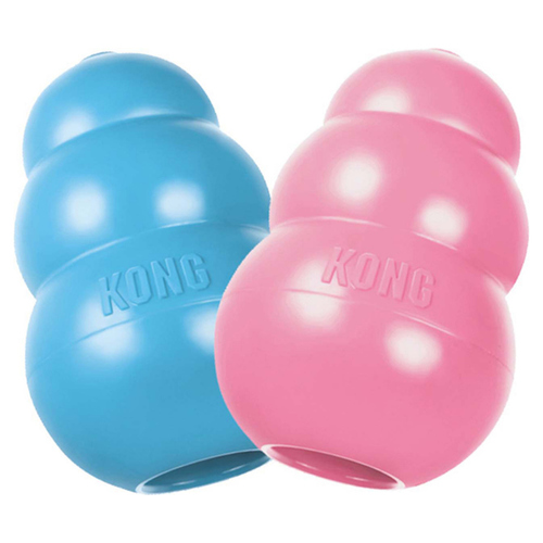 KONG Puppy