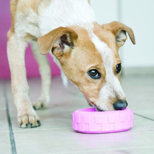 weitere Abbildung KONG Puppy Tires