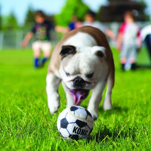 weitere Abbildung KONG Sport Balls