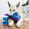KONG Woozles Außerirdischer mit Squeaker Blue Medium Abbildung 3